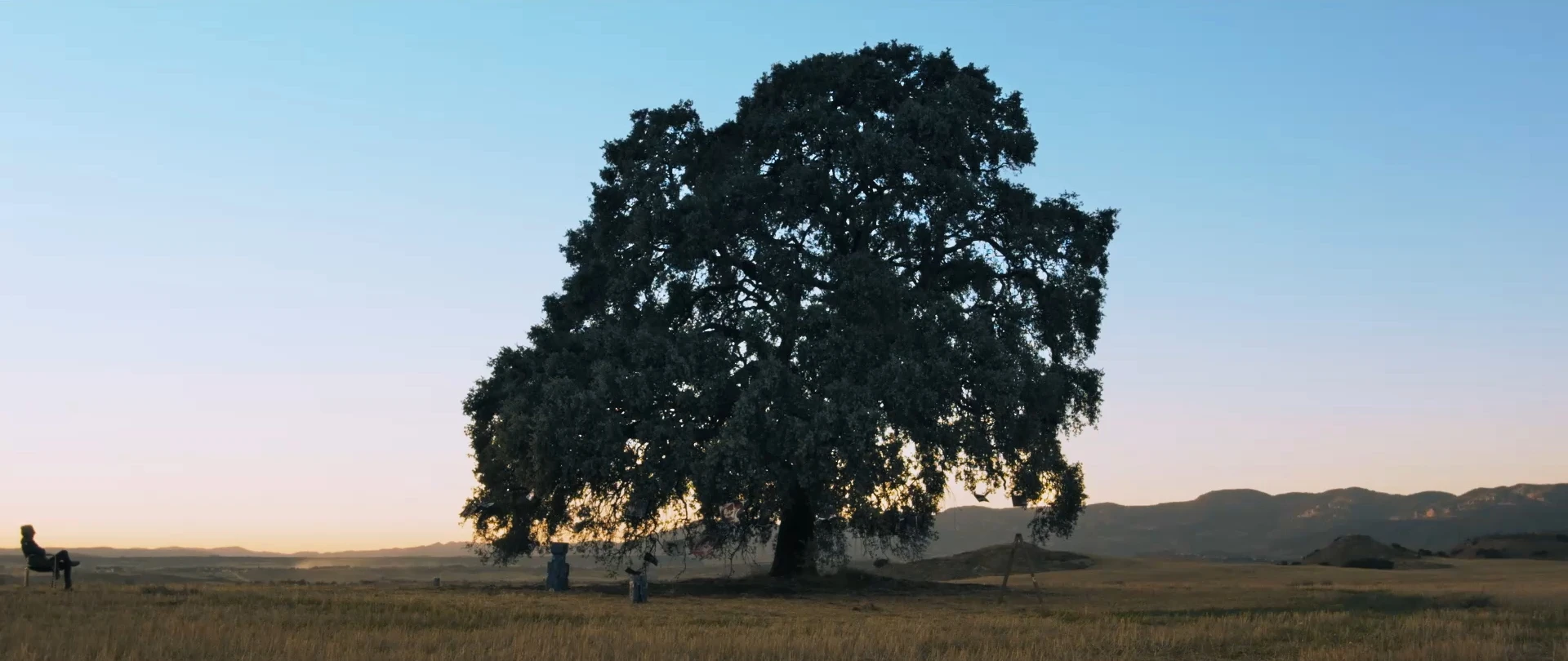 vanessa-alami-cinematography-documentary